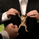 Illustration for article titled EPA Thugs Violently Beat Endangered Toad Who Hasn’t Paid Protection Money